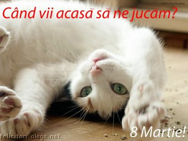 Cand Vii Acasa Sa Me Jucam - 8 Martie
